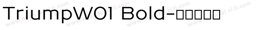 TriumpW01 Bold字体转换